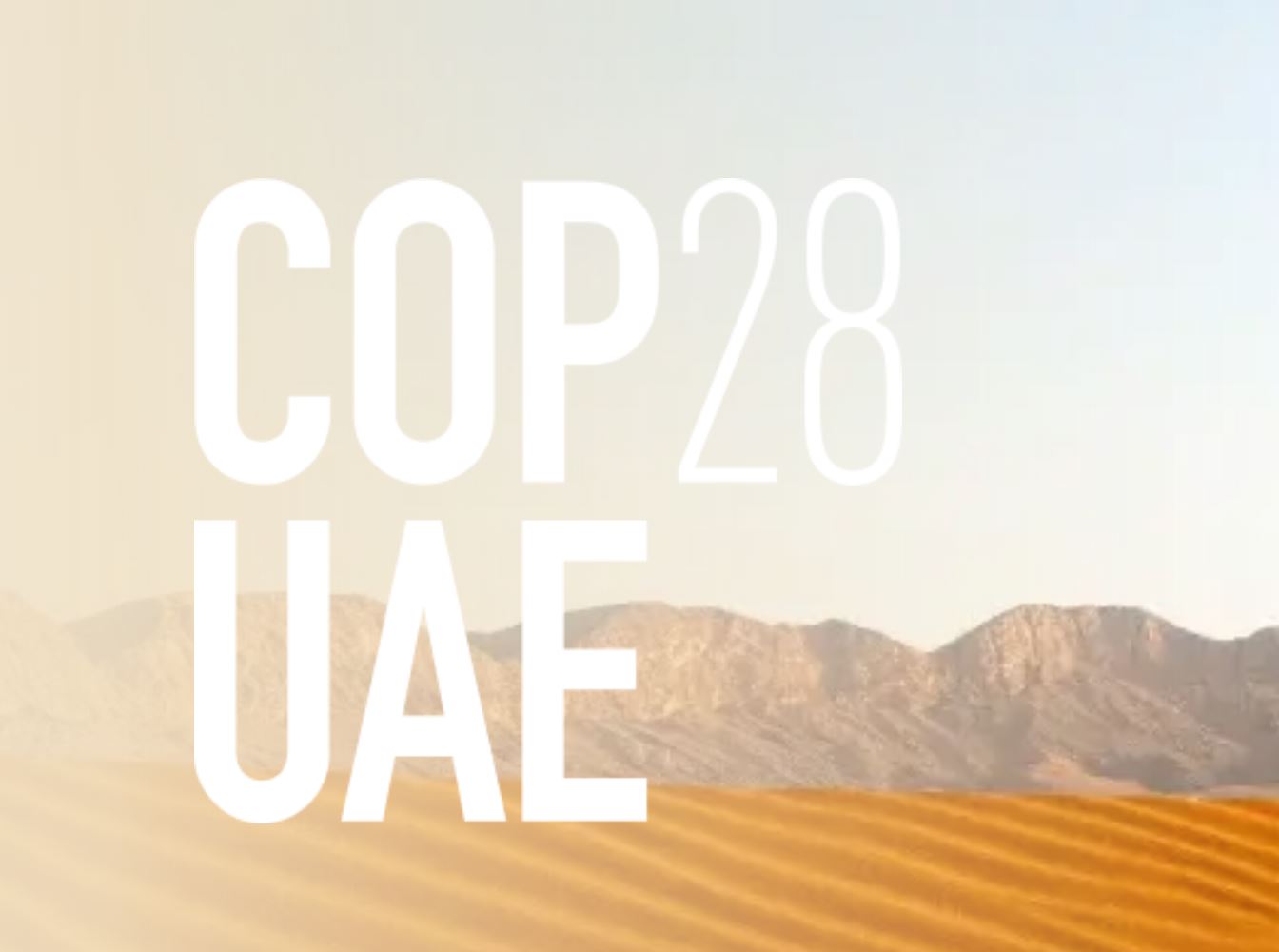 COP23