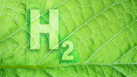 Sri Lanka Embraces Green Hydrogen and Ammonia