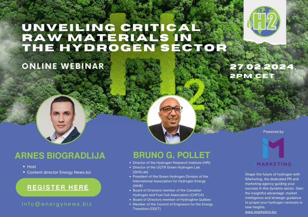 Unveiling Critical Raw Materials in the Hydrogen Sector Green