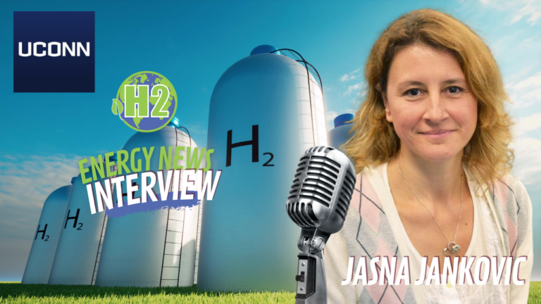 Fuel Cell Research with Professor Jasna Janković