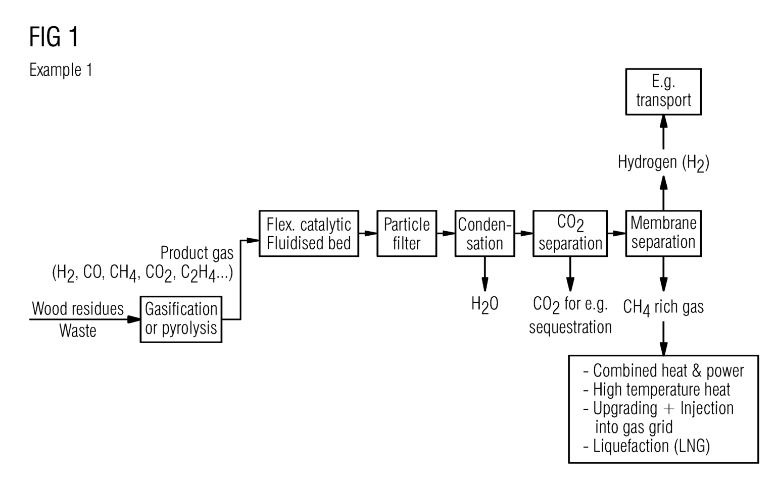 Method/System for Producing Hydrogen and/or Methanol