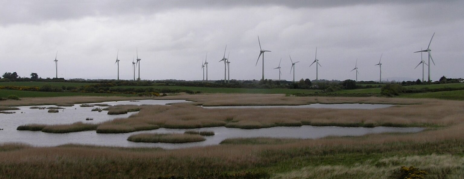Green hydrogen in Ireland: Ballywater wind farm in County Wexford